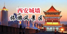桃红色界麻豆中国陕西-西安城墙旅游风景区
