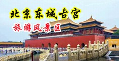 男人射美女动漫视频中国北京-东城古宫旅游风景区